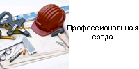 Профессиональная среда